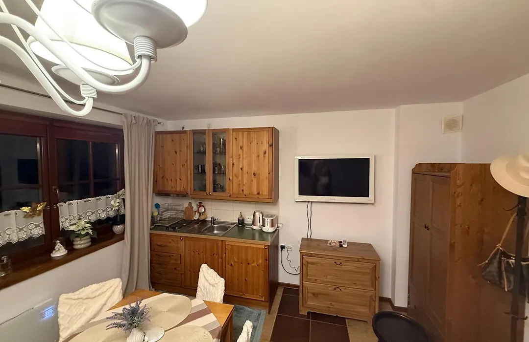 Apartament De Lux z ogródkiem Parking Centrum Duża Krokiew Krupówki-1